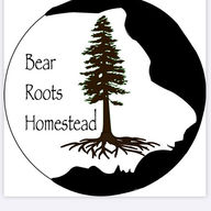 bearrootshomestead logo